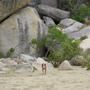 Cooktown beach