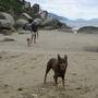 Cooktown beach