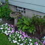 One side of our house.