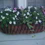 Flower baskets....