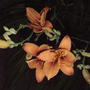 Daylilies (Hemerocallis fulva (Chin Chen TsAi))
