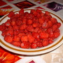 July_10th_2008_010.jpg