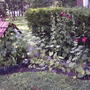 2008-07-09_038