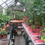 Greenhouse