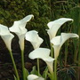 July_12th_2008_053.jpg