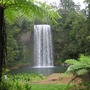 Millaa_millaa_falls