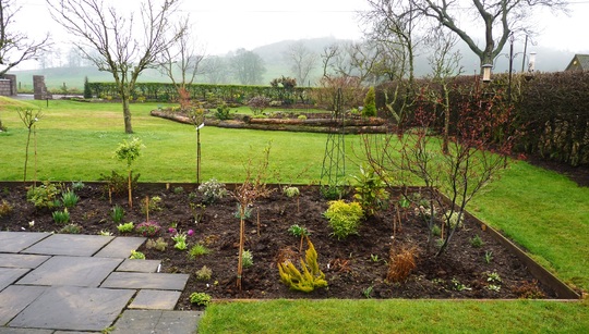 My favourite view of the garden....