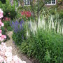 Front garden 2 - 26th June 2007