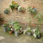 hanging baskets