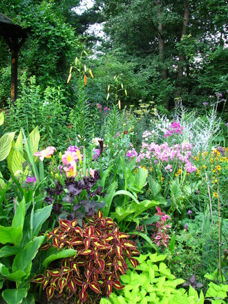 Summer flowerbeds are really getting full.