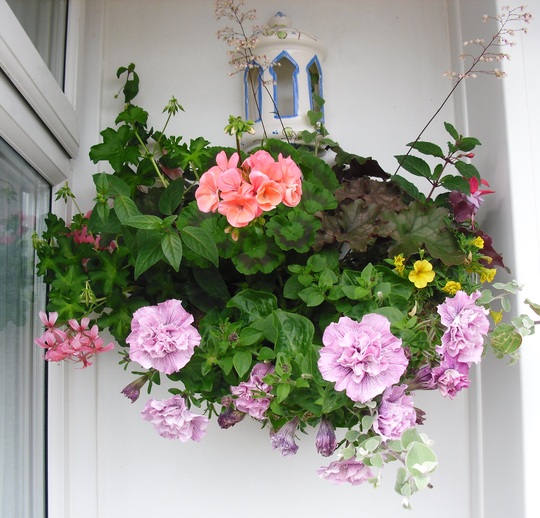 Half basket on the wall