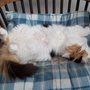 Picture_279