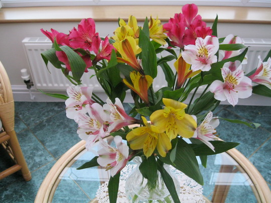 Vase of Alstroemerias