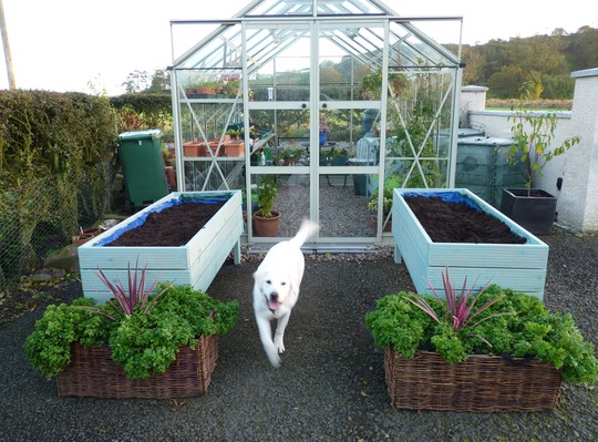 Lovely painted troughs ready to be planted up with tasty veggies in the spring!