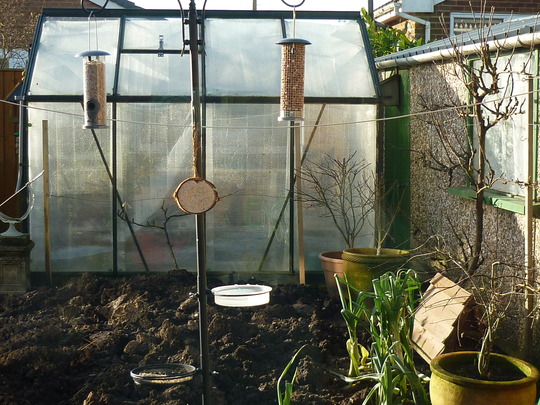 New bird feeder.