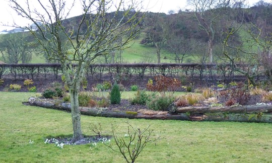 February rainy day garden.
