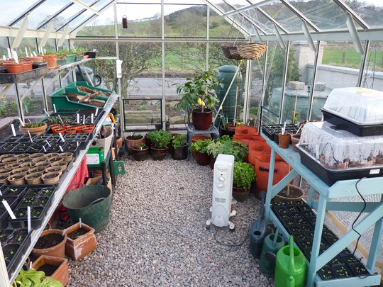 Inside my Greenhouse today...