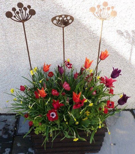 For Oliveoil...Tutti Frutti Planter with Seed-Head Ornaments