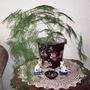 What's this plant called ?
