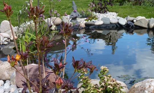Pond