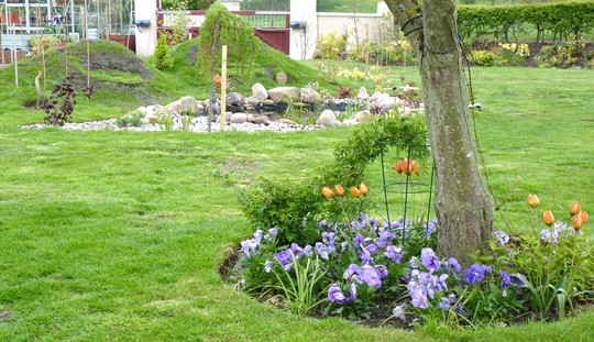 Pond view - it's getting there. Bit miserable here again today.