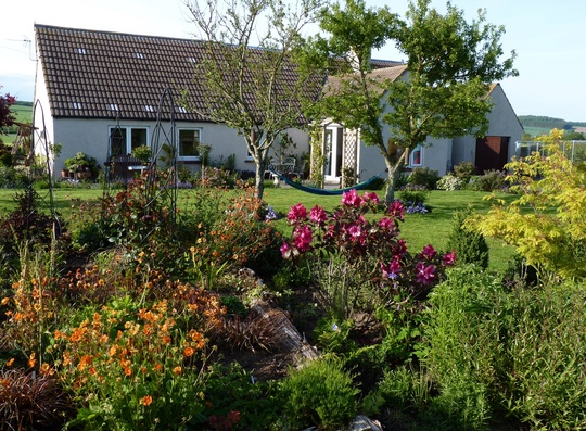 And the garden is really going for it now! :))))