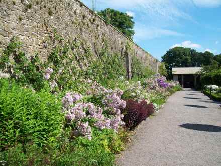 Aberglasney Gardens