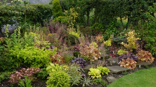 Heuchera Corner AKA Bee Heaven!