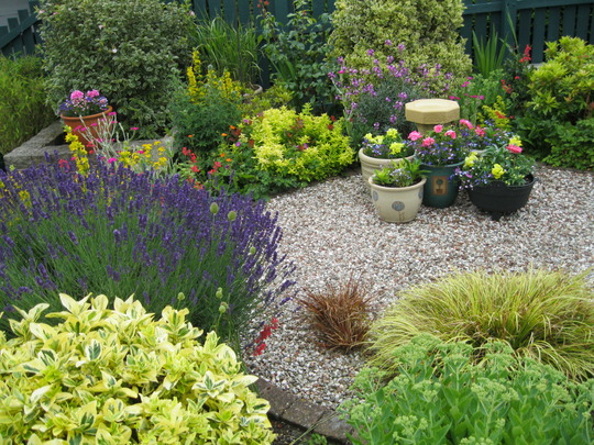 Summer borders