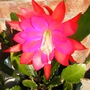 Picture_657