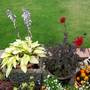 Picture_637