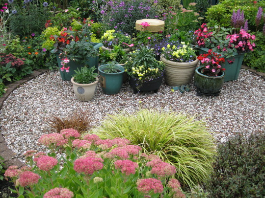 Sedum...