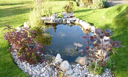 September Pond