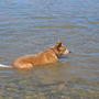 Cully cooling off.