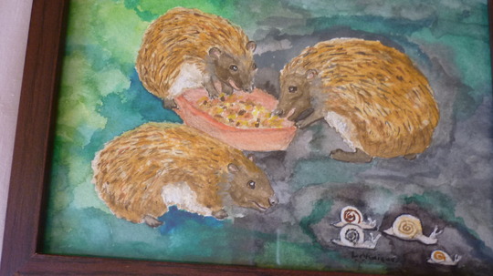 hedgehog painting in frame