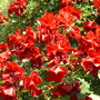 July_28rd_2008_036