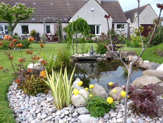 Pond after another lovely day! :)