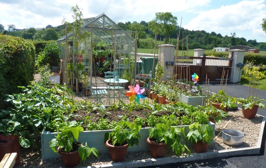Veg. garden - I love this so much! :)