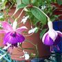 Picture_859