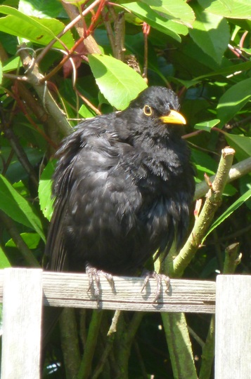 Watching me, watching you!
