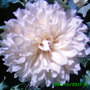 Growsonyou_photoes009_edited
