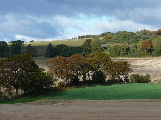 Autumn arriving in the fields now....