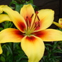 01-08-08_003
