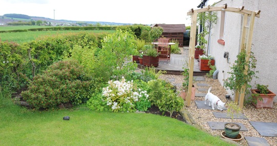 Our little white lady in the White Garden.