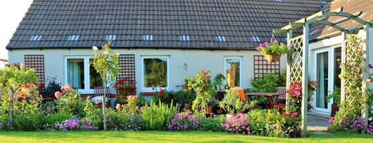 Patio Border