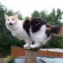 Picture_143