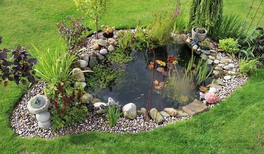 Pond with lovely clear water! :)