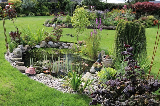 Pond...still clear!
