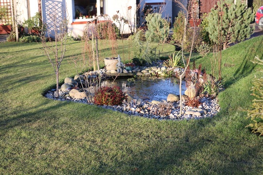The Pond in February Sunshine