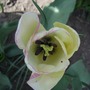 Cimg0855